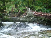 DSCF0399.webp
