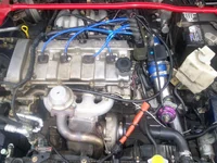 100_0441.webp