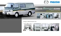 bongo.webp