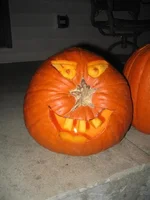 IMG_2395 (Large).webp