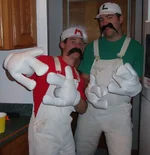 mario and luigi.webp