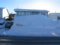 snow (Large) (2).webp
