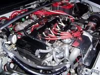 bruce is the man 2.webp