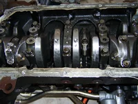 100_0366.webp