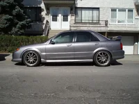 roto black.webp