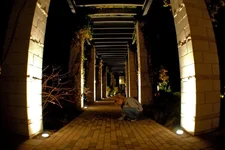 klea_arch.webp