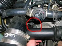 DSCN2589.webp