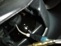 PC090008.webp