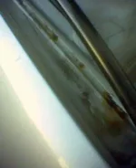 Bild(1).webp