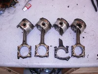 DSCN4772.webp