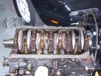 DSCN4744.webp