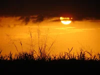 DSC02112.webp
