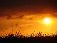 DSC02117.webp