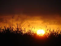 DSC02118.webp