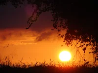 DSC02124.webp