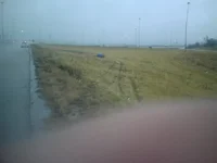 1225061557.webp