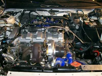protege 029.webp