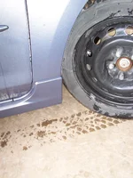100_2031.webp