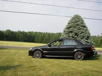 Picture 106crop.webp