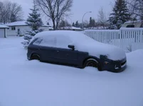 Too Much Snow1.webp
