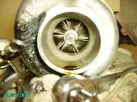 IMGP0027.webp