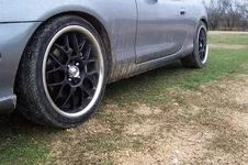 000_4613.webp
