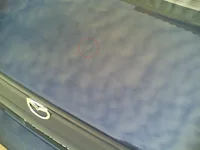 01192007(005).webp