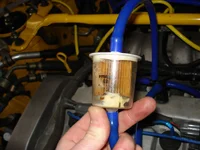 oil.webp