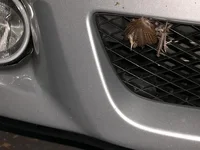 picture 003_small.webp