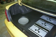 trunkleft.webp