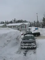 snow.webp