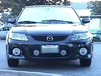 NewFogs1.webp