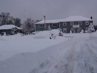 winter 03 045.webp