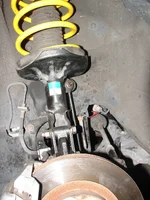 DSC02570.webp