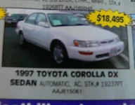 corolla9.webp