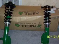 Tein Both.webp