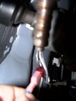 100_1070.webp