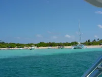DSC04484.webp
