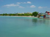 DSC04449.webp