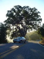 Calaveras Road.webp