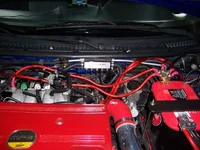 100_5064.webp