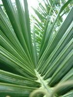 DSCF0120.webp