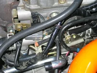 IMG_2839-vi.webp
