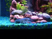 DSCF0207.webp