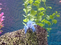 DSCF0209.webp