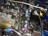MAF1.webp