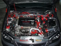 P3140991d.webp