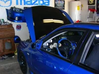 interior shots 006 (Medium).webp