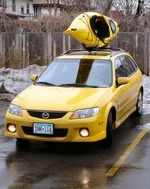 yak1.webp
