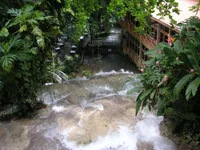 Waterfall.webp